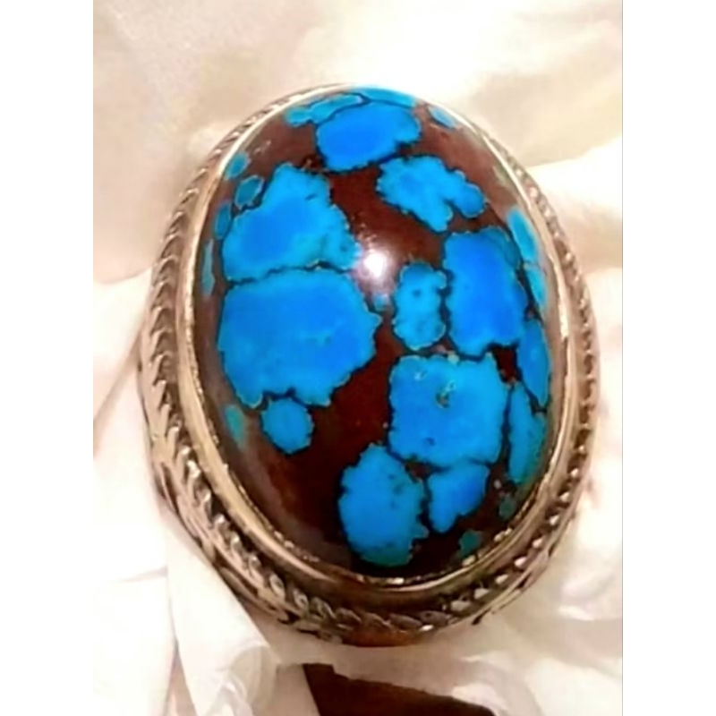 Pirus Persia premium biru gradasi ceplok kuro urat sangar size jumbo