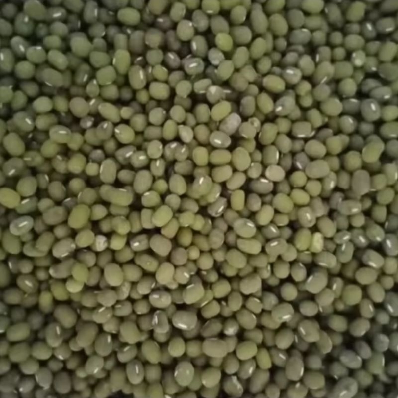 

kacang iji 1 kg murah