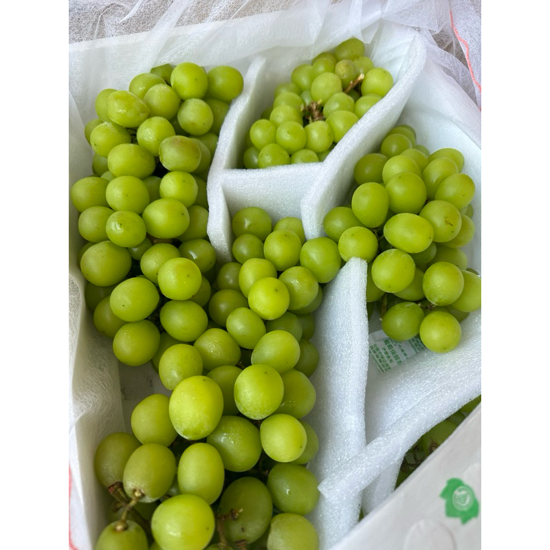 

Anggur Shine Muscat 500gr