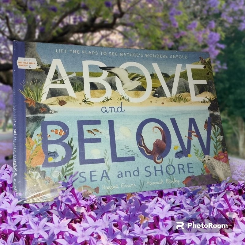 Above Below Sea and Shore New