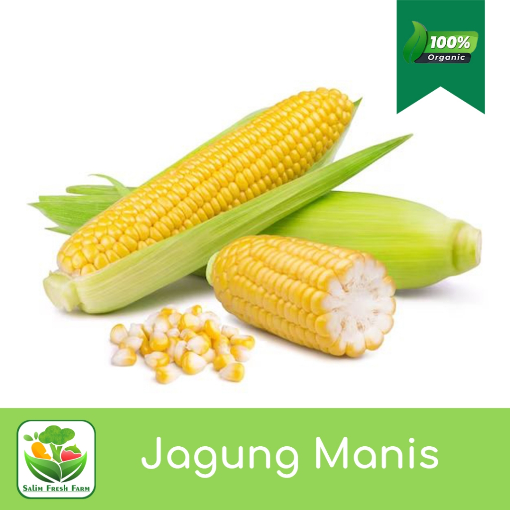 

Jagung manis / Jagung manis 1kg