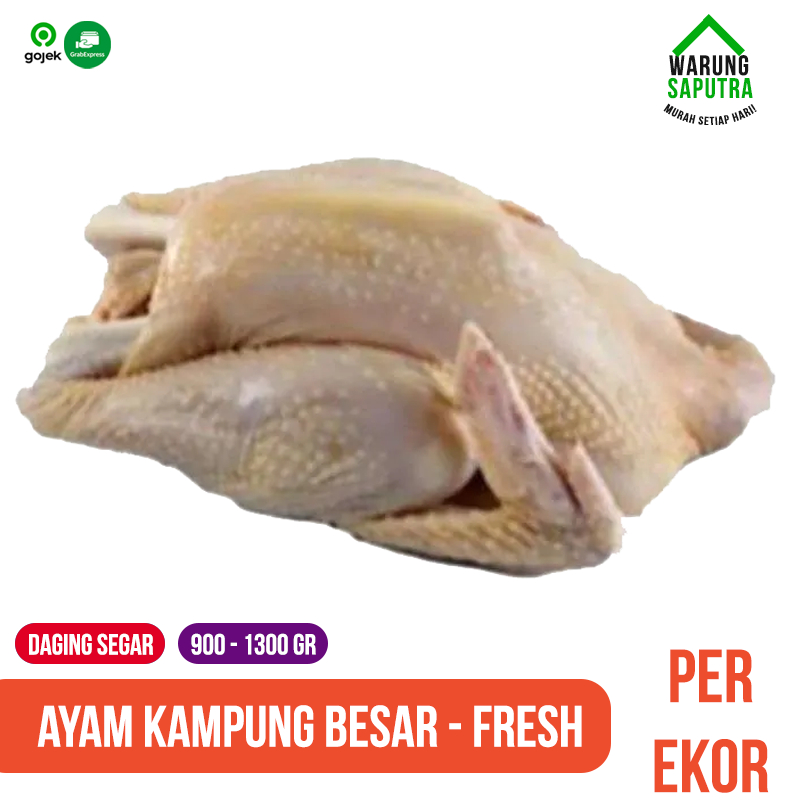 

Ayam Kampung Besar Utuh per Ekor