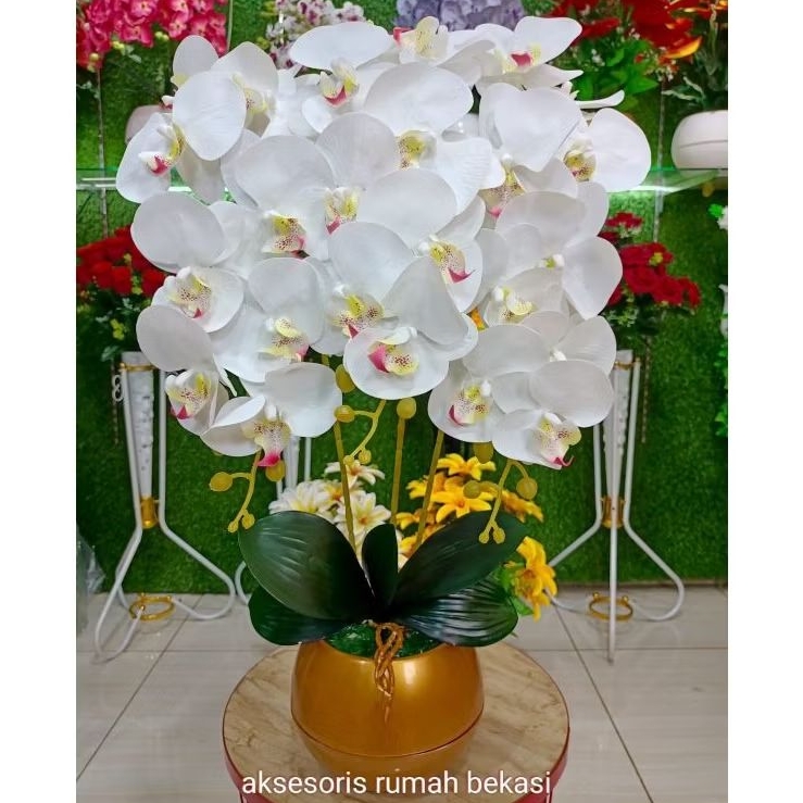 BmRh BUNGA SUDUT ANGGREK LATEX BULAN 3 CABANG MODEL SEJAJAR DENGAN POT BOLA