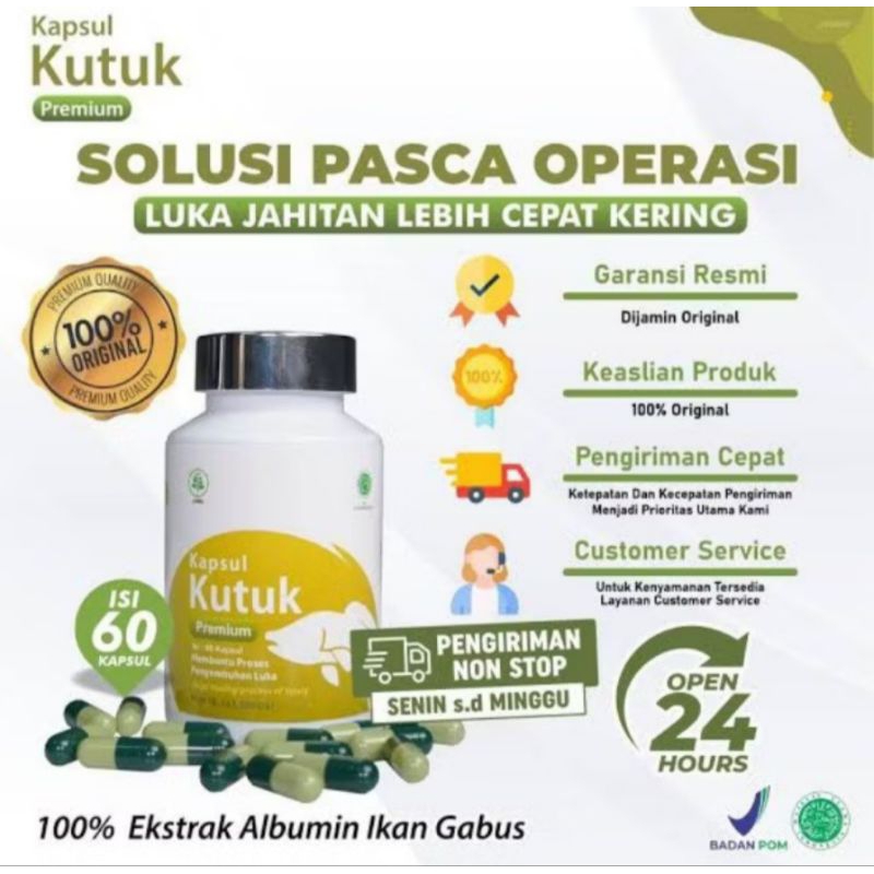 kapsul ikan kutuk untuk luka kapsul kutuk albumin ikan gabus premium