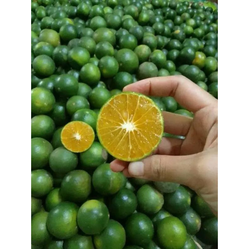 

BUAH Jeruk Peras Super Jember 500 Gram.