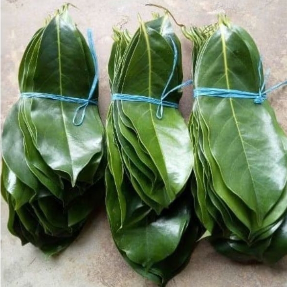 

DAUN SIRSAK SEGAR PERLEMBAR , OBAT HERBAL ALAMI PER 100 LEMBAR