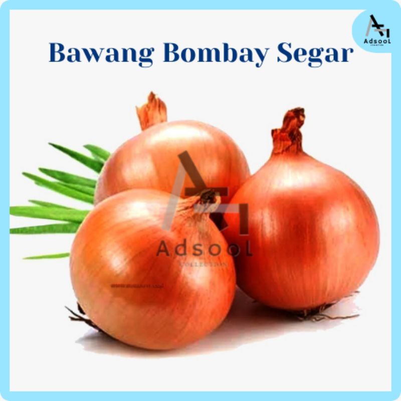 

Bawang Bombay Segar 250gr/500gr/1kg murah