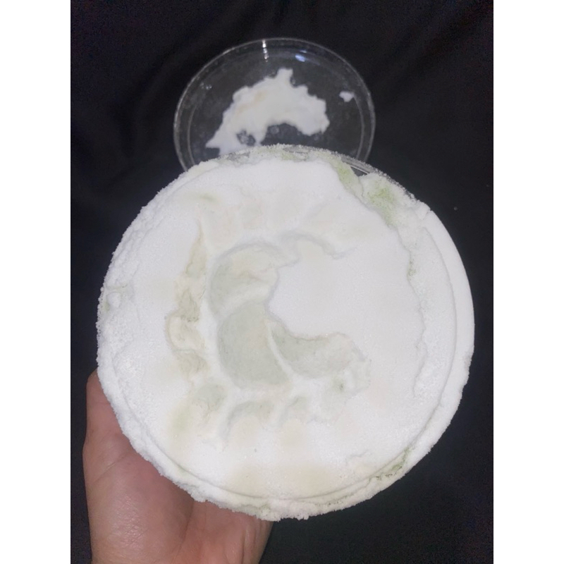 

PANDAN SALJU