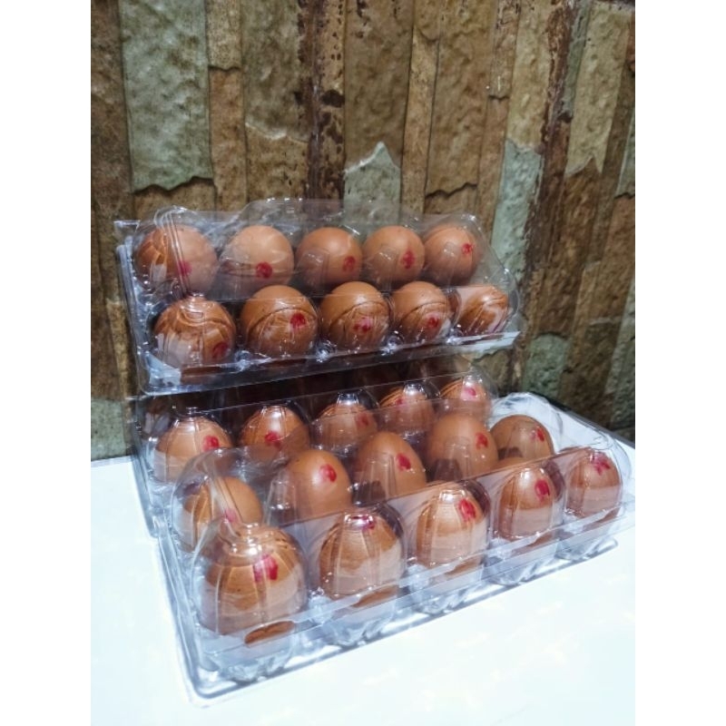 

omega egg / telur omega 3 kualitas premium