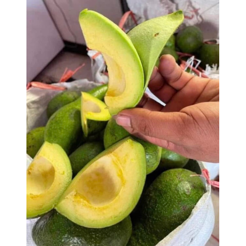 

ALPUKAT MENTEGA BOYOLALI 1KG ISI 4,5,6