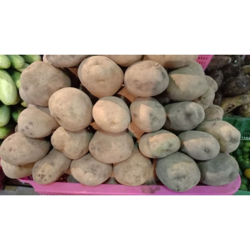 

kentang besar 1kg,