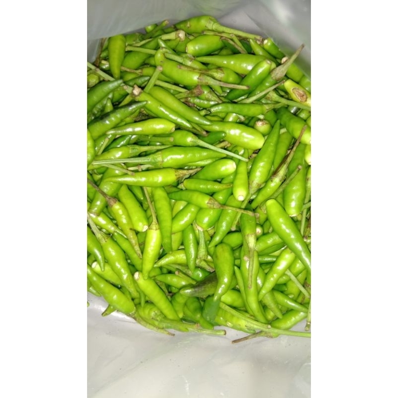 

cabe rawit ijo caplak 250gr,