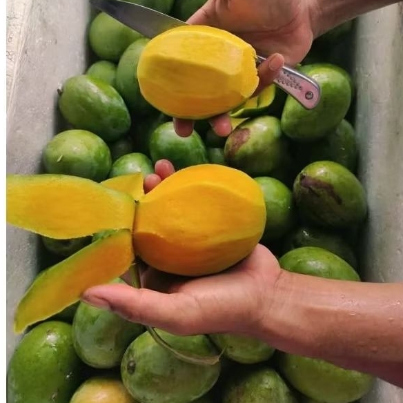 

MANGGA KWENI/BEM BEM 1kg