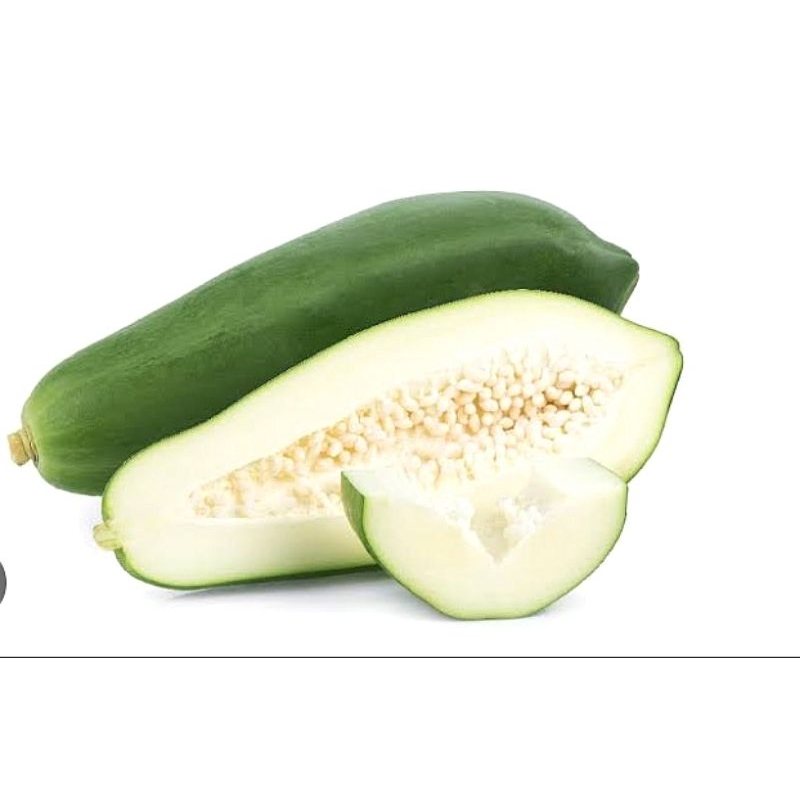 

Pepaya muda,1 buah fresh dari kebun