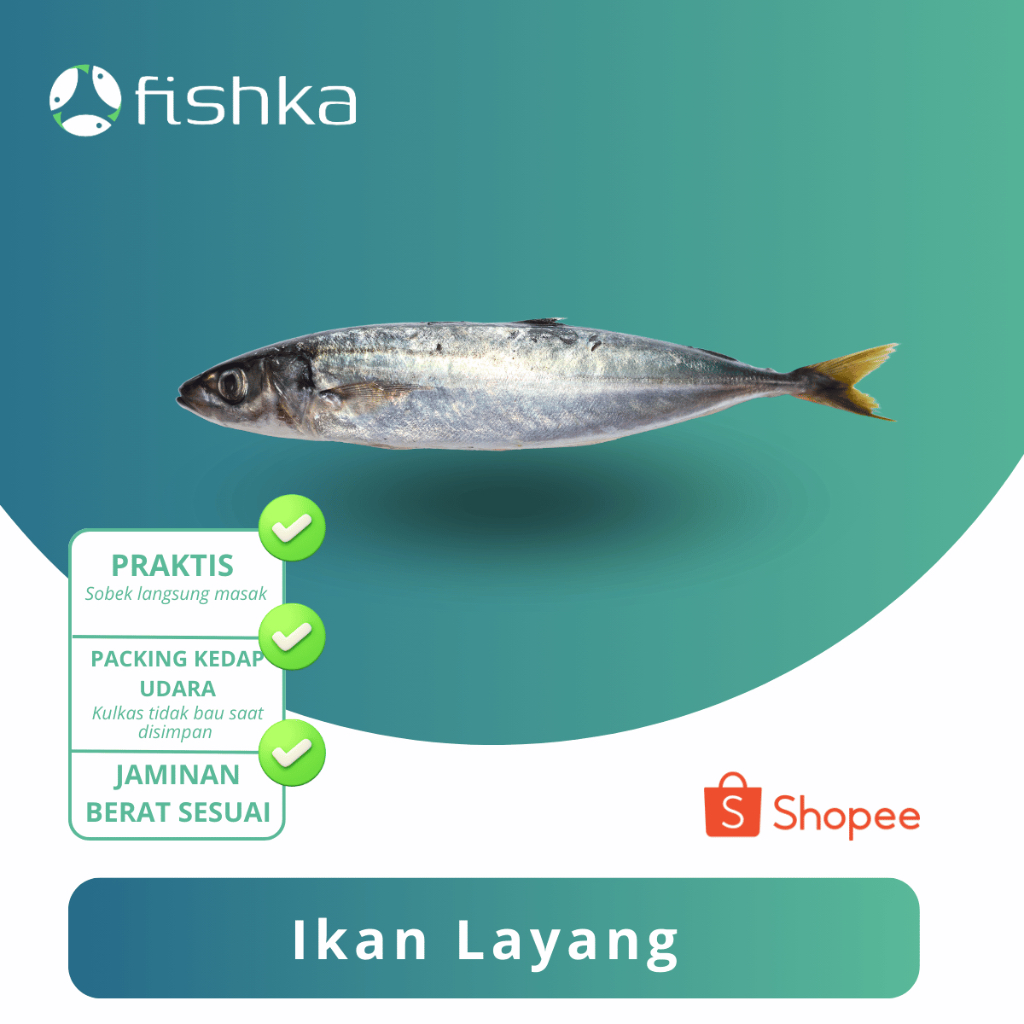 

Ikan Layang / Layang Segar