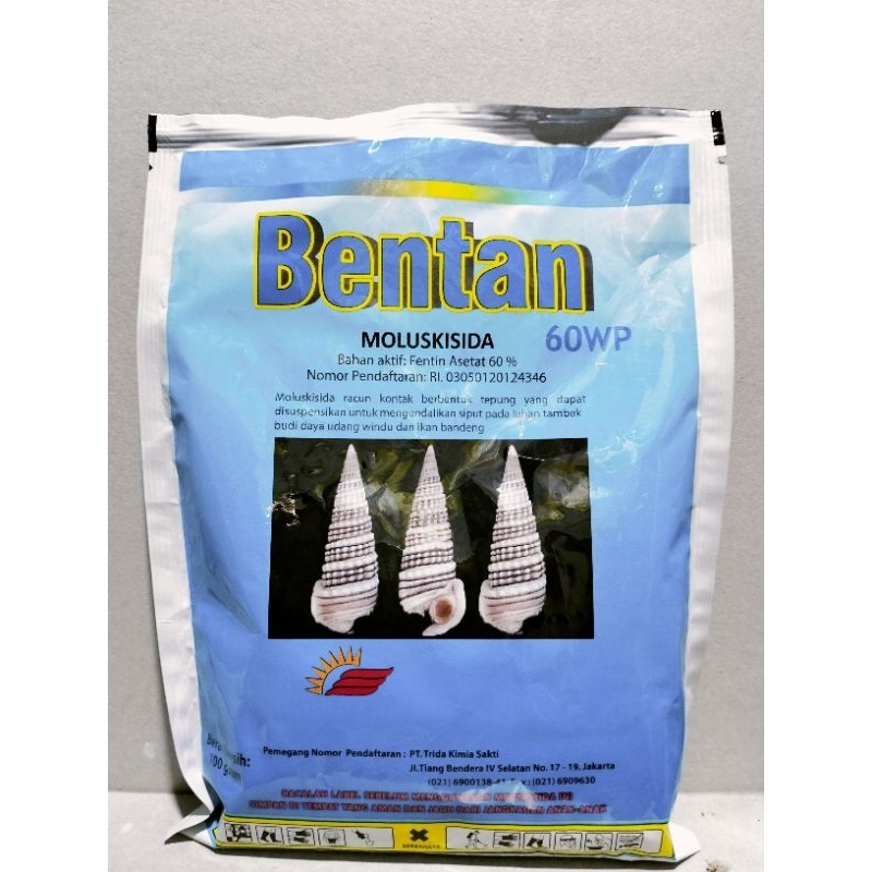 BENTAN RACUN KEONG SAWAH , SIPUT TAMBAK.