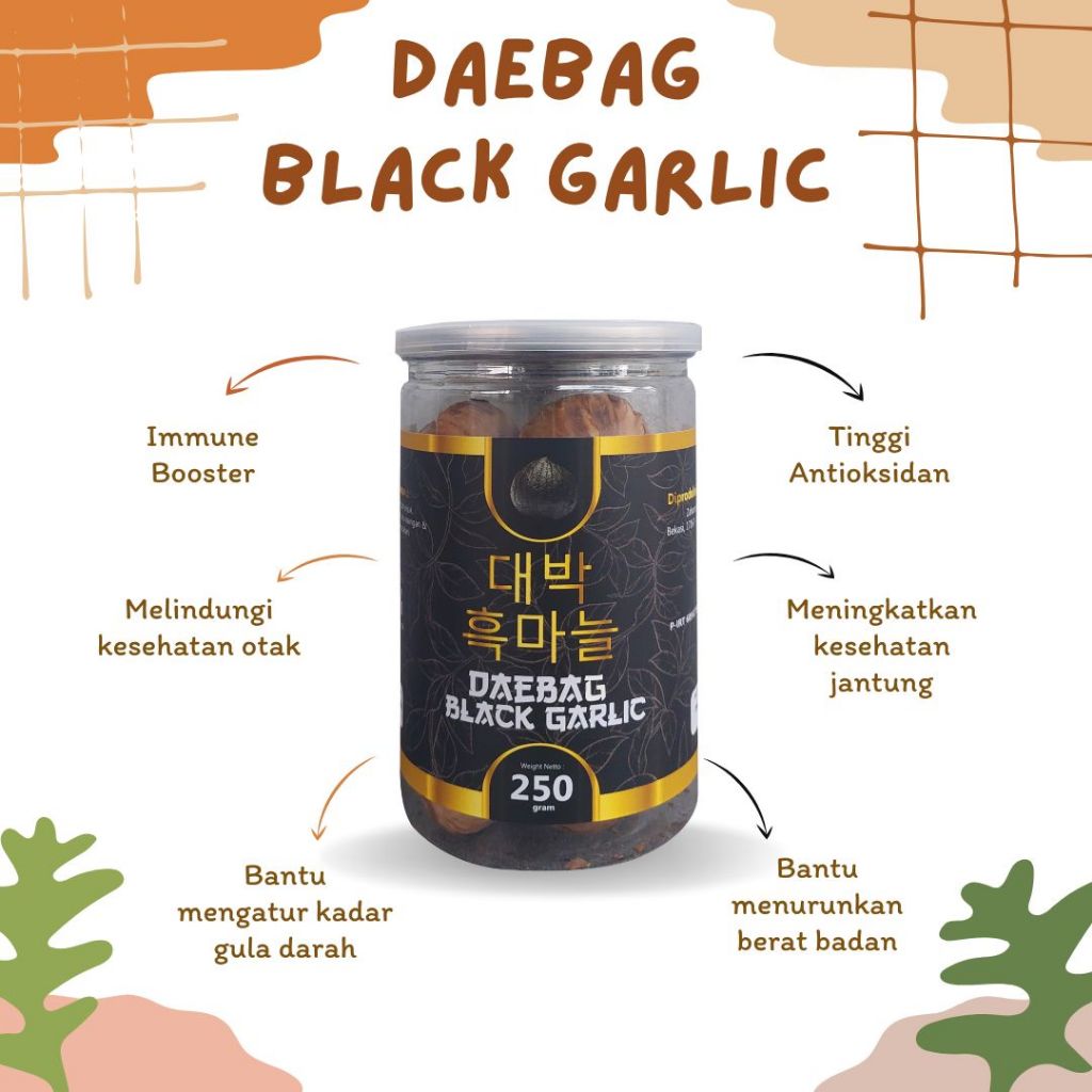Bawang Hitam Tunggal Jumbo Korea Solo Black Garlic
