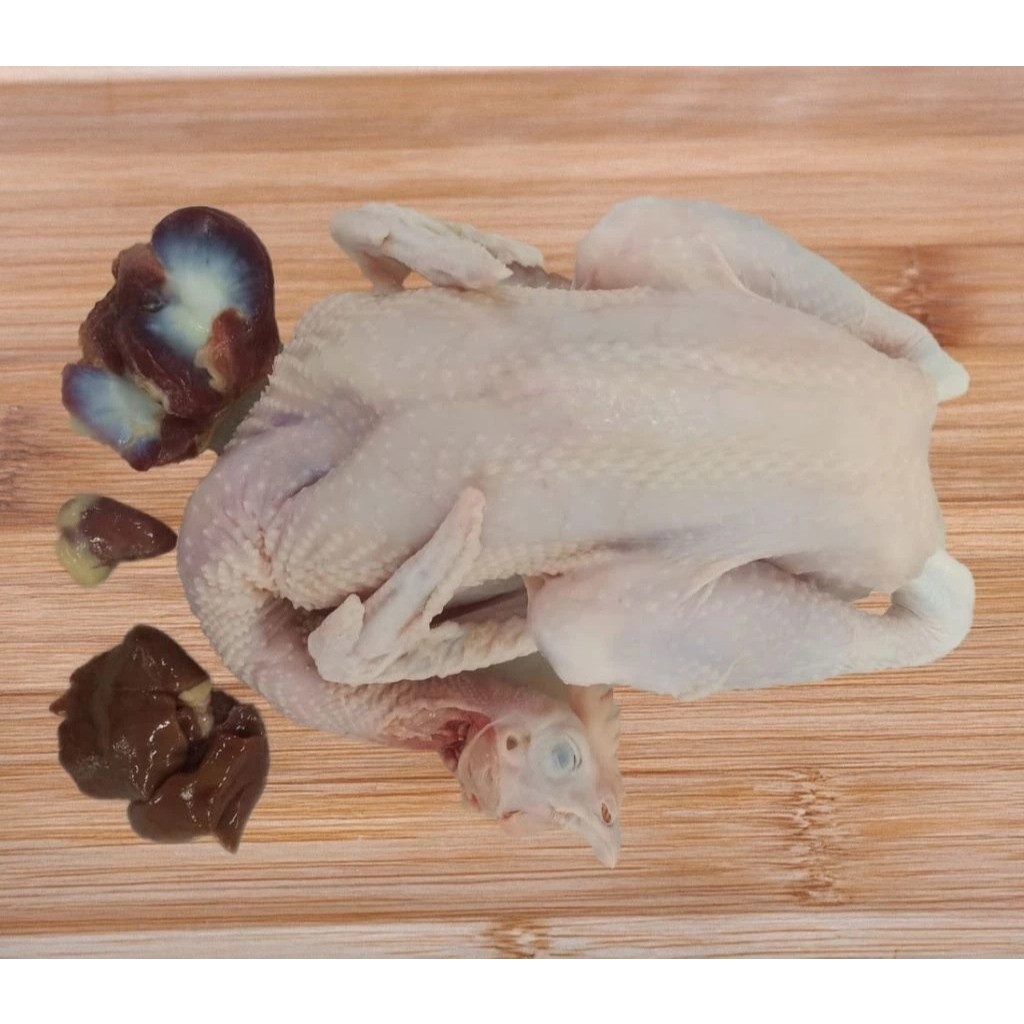 

Ayam Kampung Utuh 700 gr s.d 1.000 gr - Daging Ayam Kampung Berkualitas, bersih, beku dan Halal