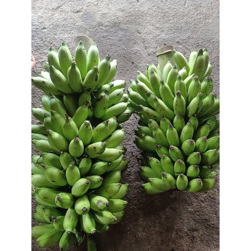 

pisang ulu/muli lampung harga 4000/kg