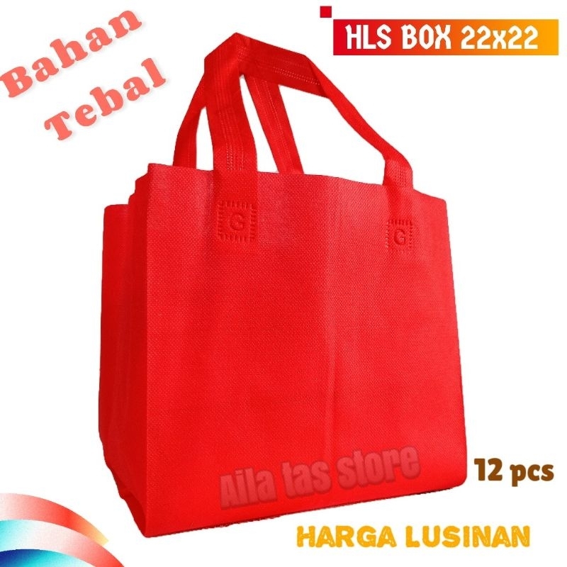 

(isi 12 PCS) Tas Box dus 22x22 Tas spunbond Harga per Lusin