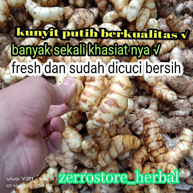 

KUNYIT PUTIH/TEMU PUTIH SEGAR ORGANIC BISA COD