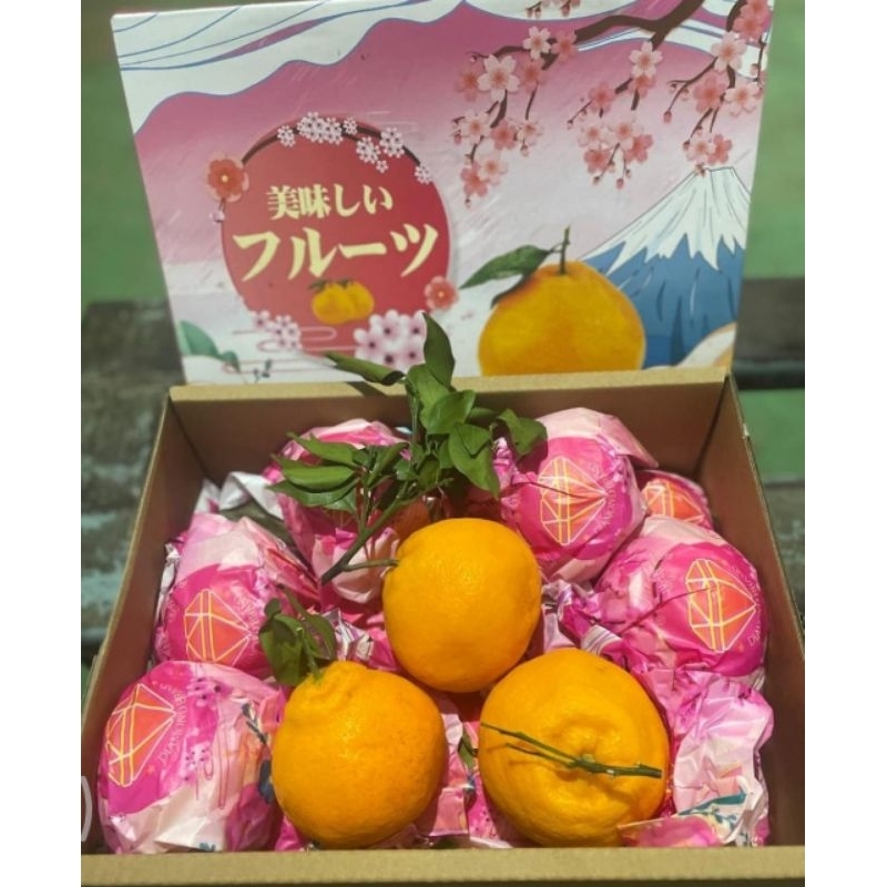 

Jeruk dekopon spring diamon manis -+4kg | jeruk dekopon spring gift box