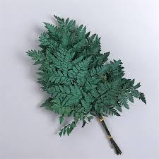 Daun Pakis/Pakis/Daun Kering/Hiasan Hampers/Daun Dekorasi/Daun Kering Dekorasi/Daun Kering Aesthetic