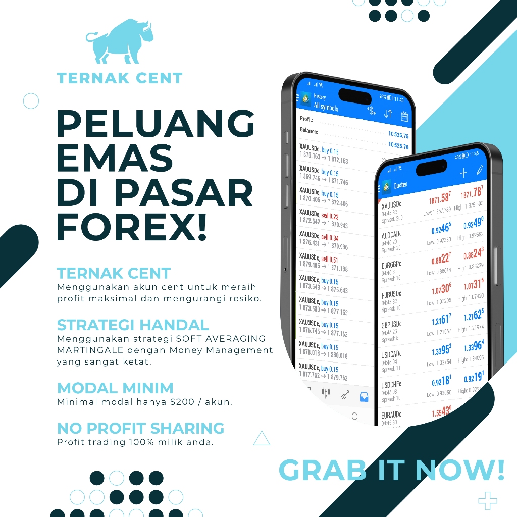 SEWA ROBOT FOREX ( EA ) + VPS 1 BULAN UNTUK TERNAK AKUN CENT