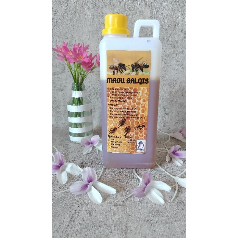 

Madu | Madu Multiflora | 1kg | ASLI | Madu Murni | Madu Balqis | Raw Honey Jerigen