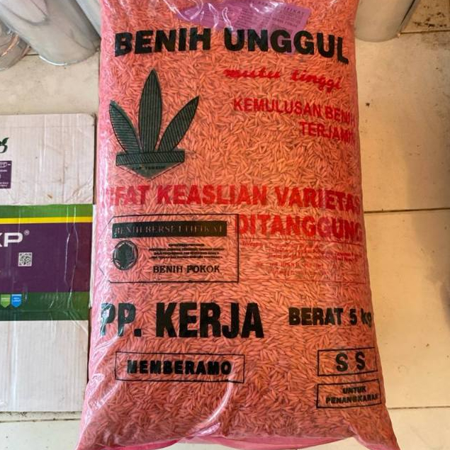 Benih Bibit Padi Varietas Membramo ORIGINAL 5 kg