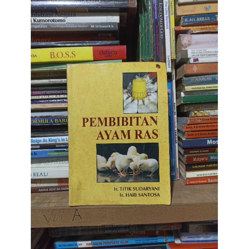 

Pembuatan ayam ras