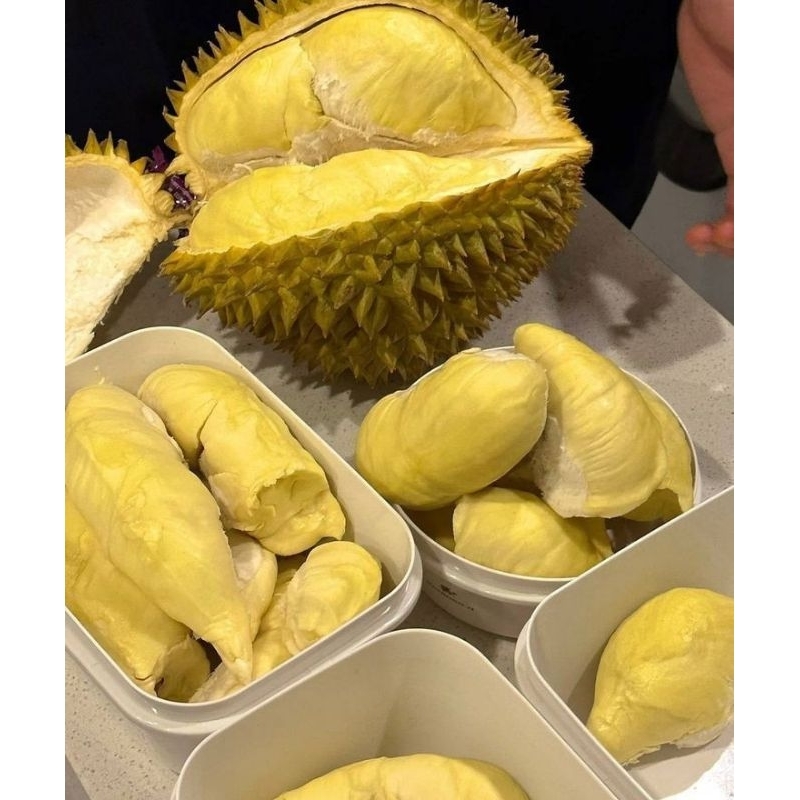 

TERLARIS!! PROMO!! Durian montong Premium Termurahh