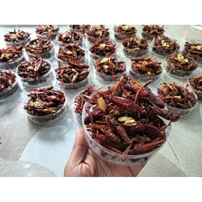 

BELALANG GORENG KAYU(BESAR) SUPER KEMASAN TOPLES NASTAR