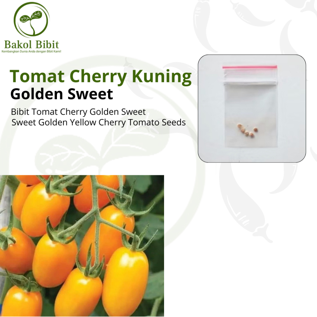 

BAKOL BIBIT-Aneka Bibit Tomat Cherry Kuning Golden Sweet Tomat Buah Tomat Mini 5 seed