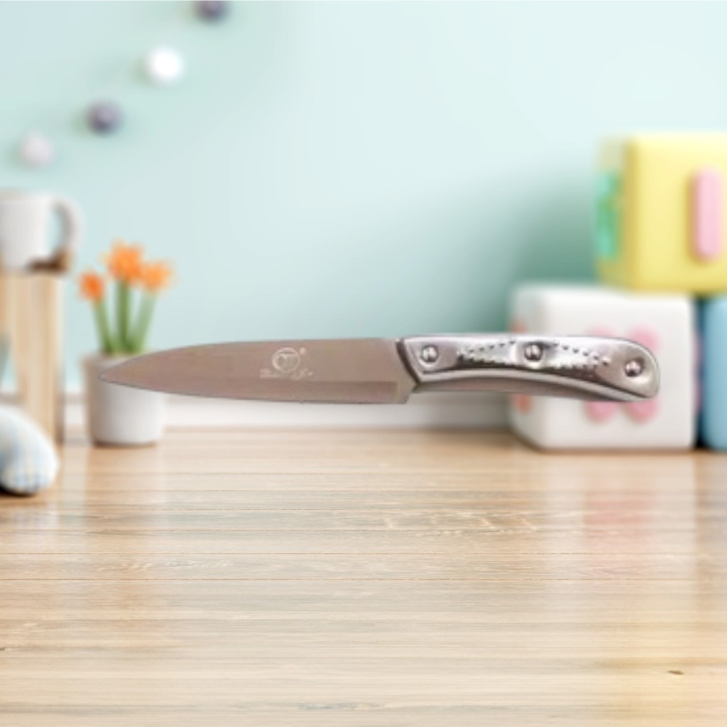 PISAU QJ STAINLESS STEEL / PISAU