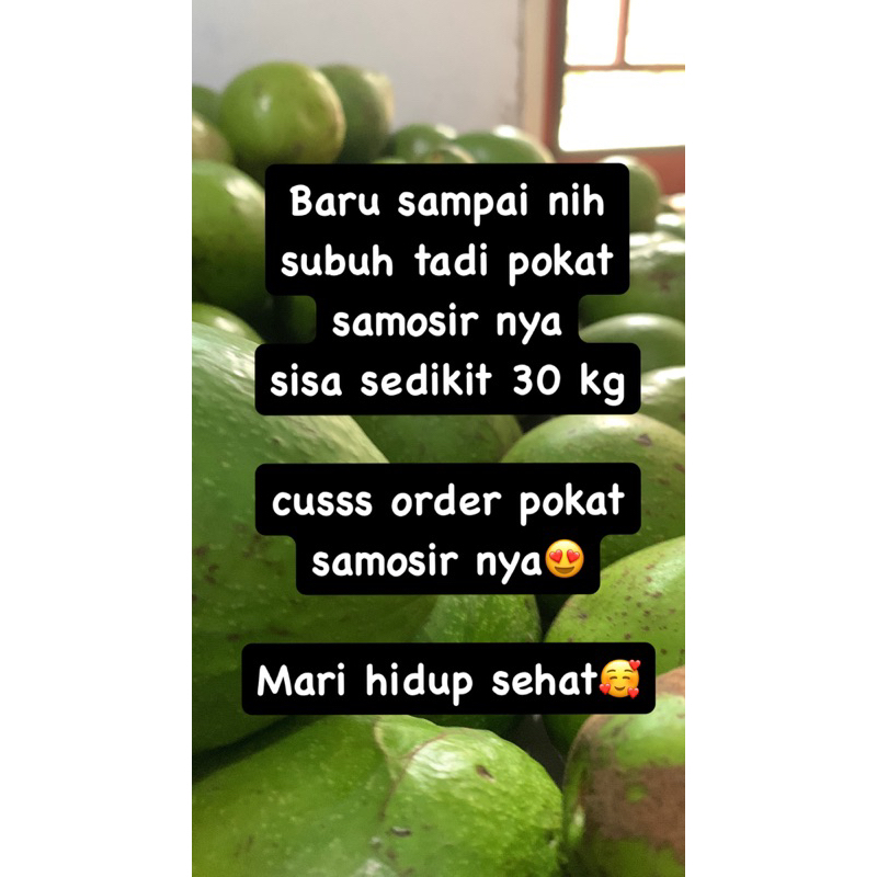 

Pokat Samosir ukuran 4-5 biji sekilo