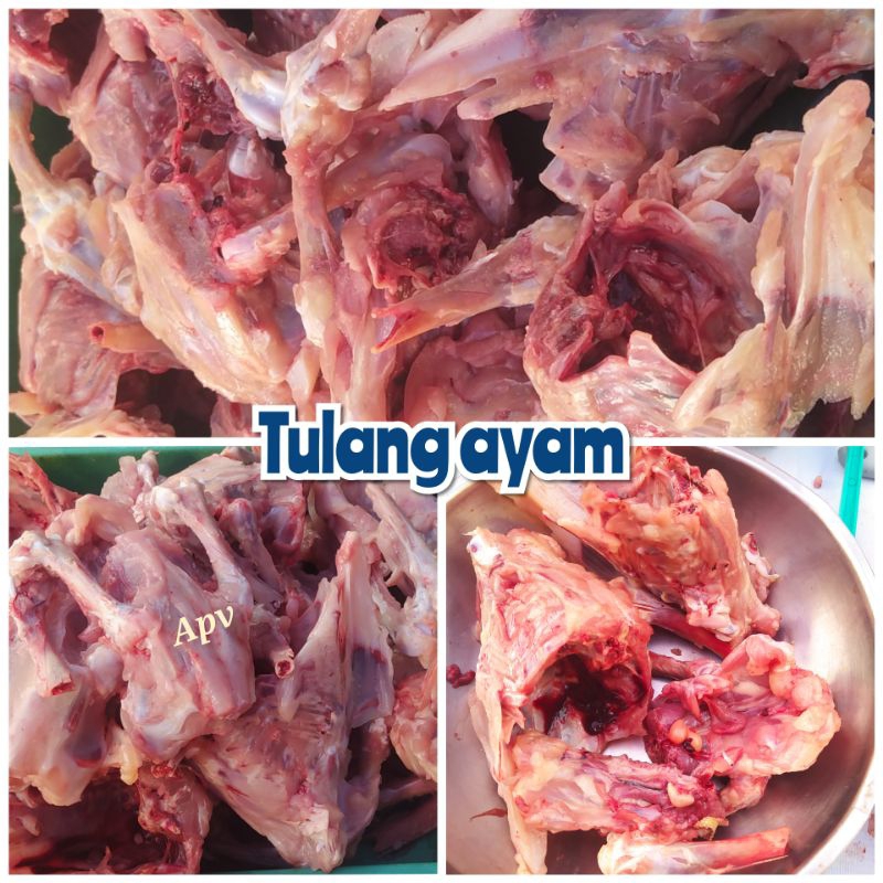 

tulang ayam balungan segar fresh 1 kg