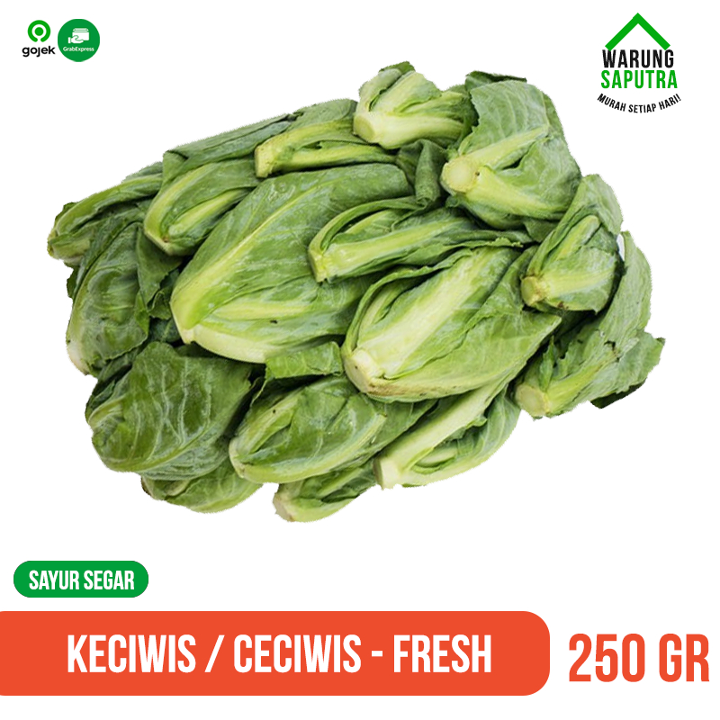 

Keciwis / Ceciwis Segar 250 g