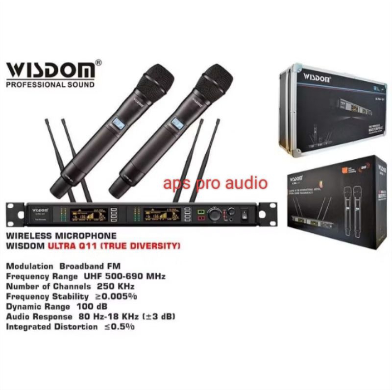MIC WIRELESS WISDOM Q11