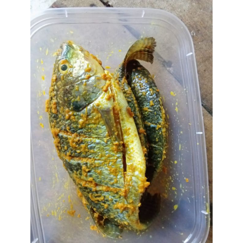 Nila Bumbu Frozen Food|isi 4ekor|