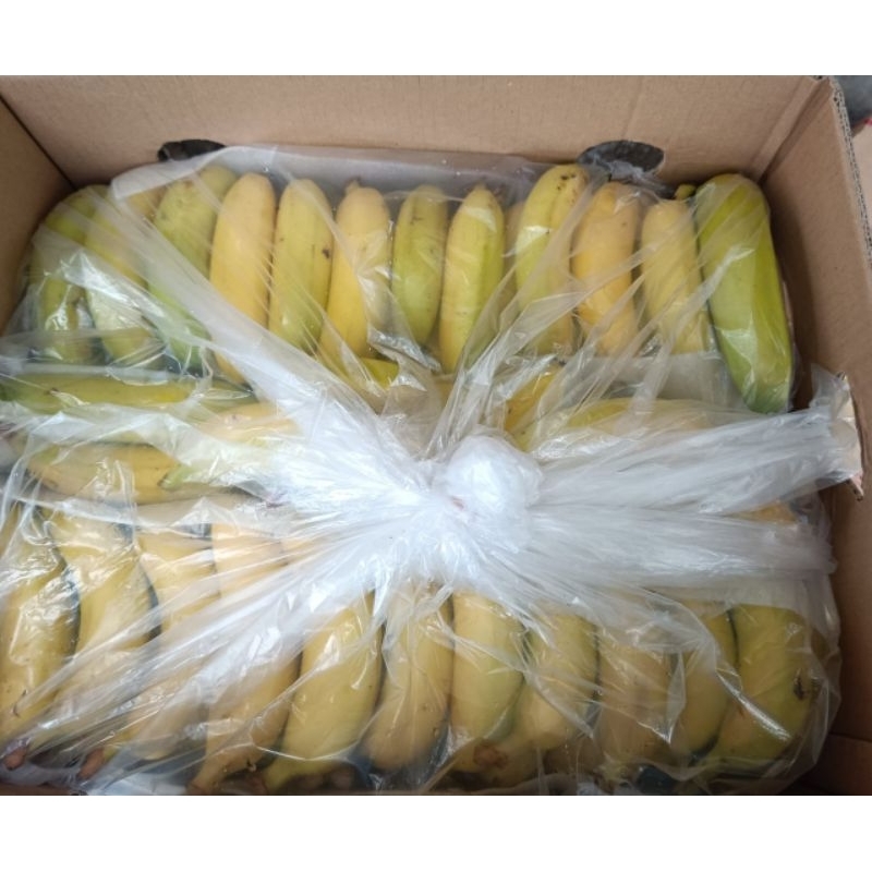 PISANG SUNPRIDE | CAVENDISH SUNPRIDE 1 Dus