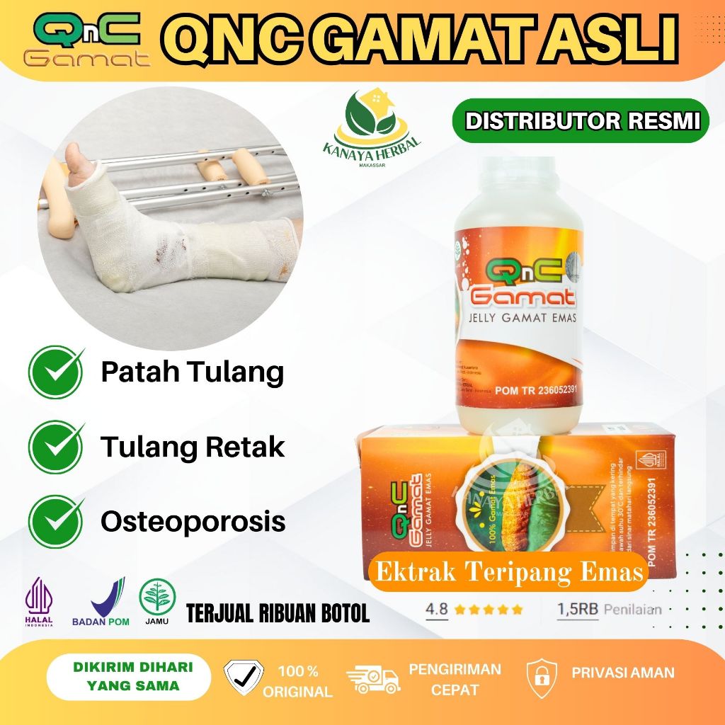 Obat Herbal Patah Tulang / Obat Tulang Retak / Obat Osteoporosis - QnC Jelly Gamat Original