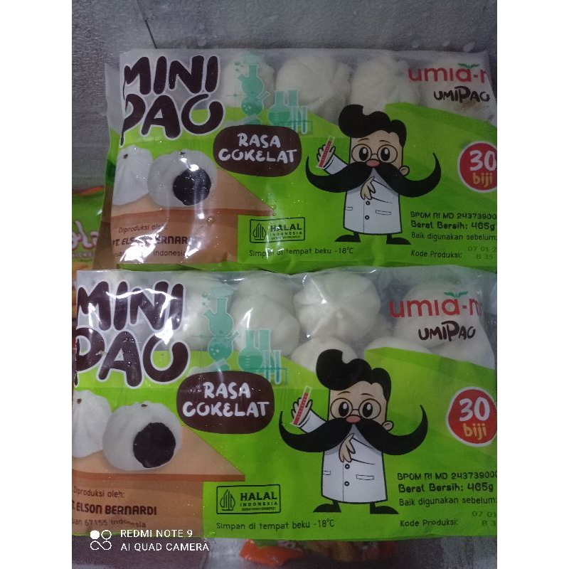

mini pao