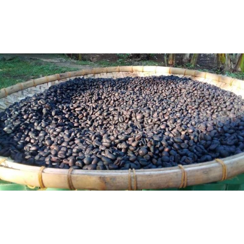 

biji kopi sangrai Robusta