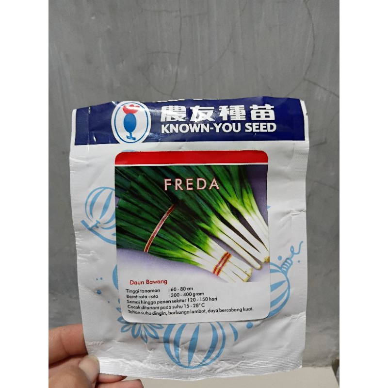 

DAUN BAWANG F1 HIBRIDA " FREDA
