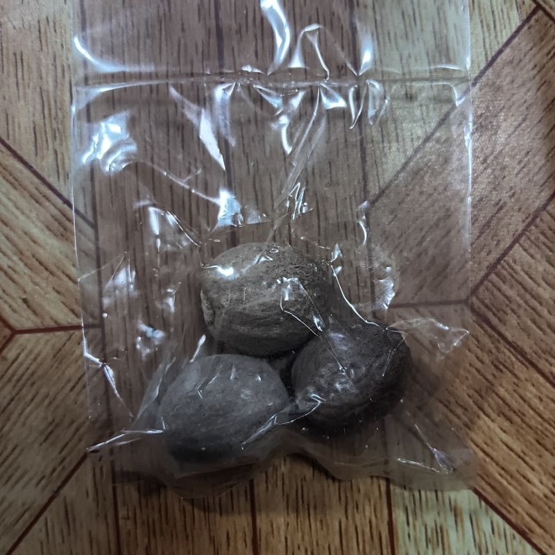 

biji pala 1pack isi 3pcs