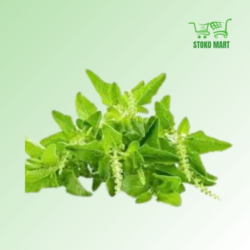 

Daun Kemangi 2 ikat