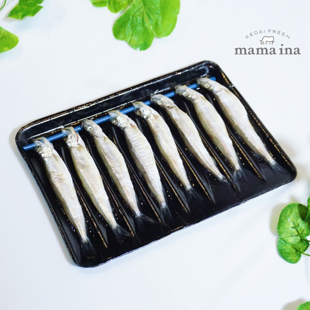 

Ikan Shishamo 170g