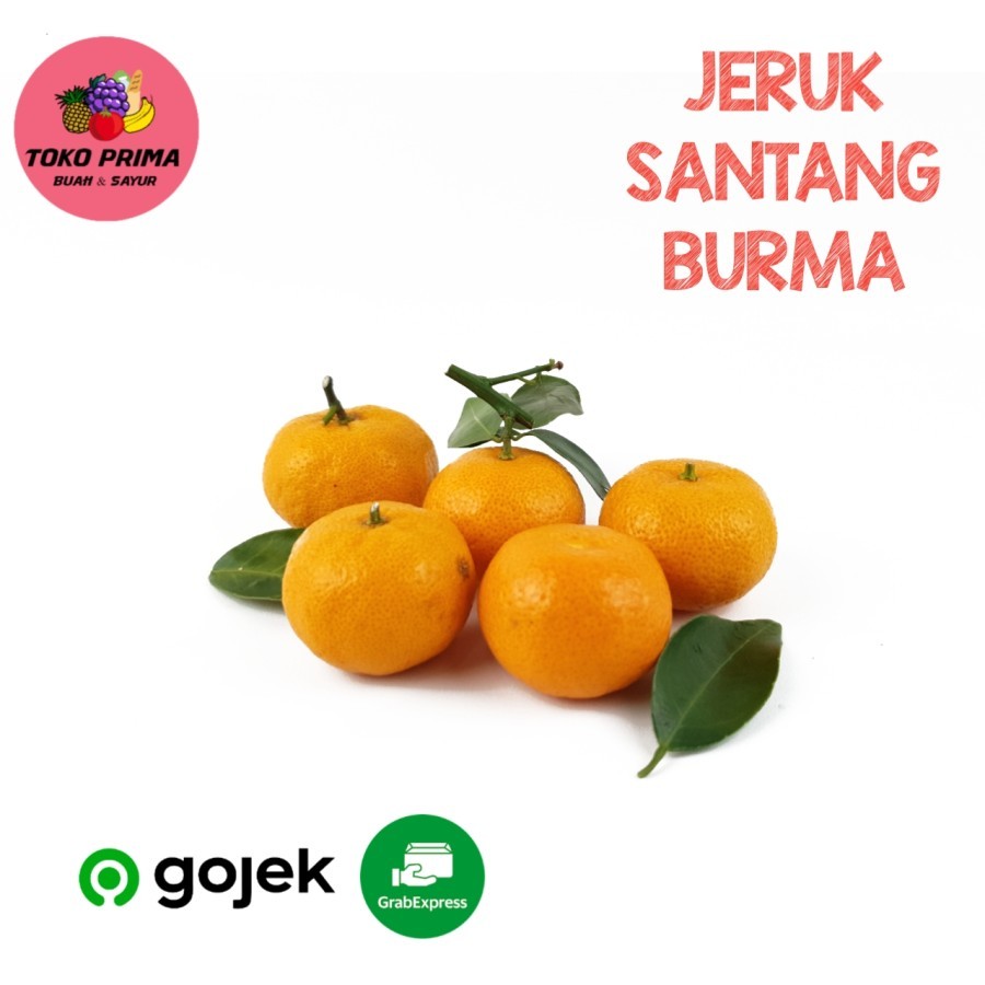 

Buah jeruk Shantang Burma/Birma Manis