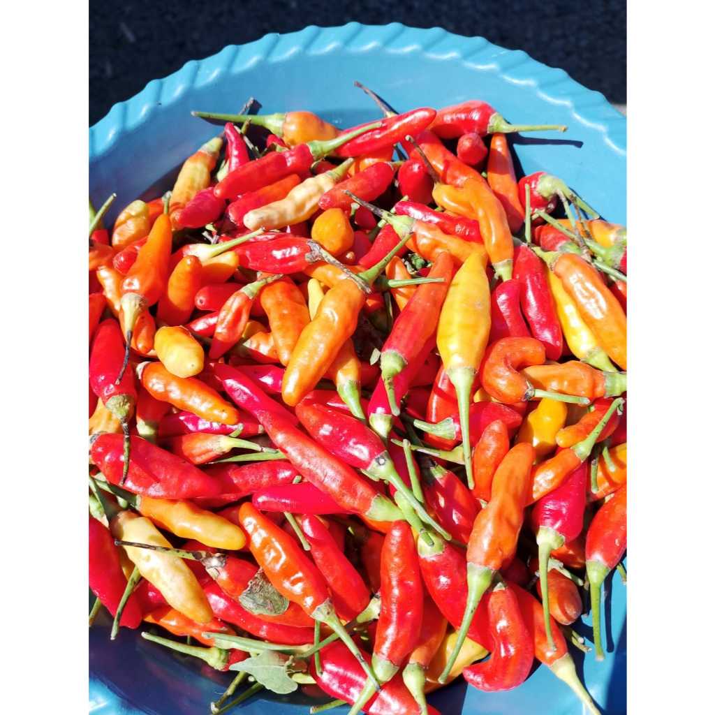 

CABE / CABAI RAWIT ORI berat 500 gram
